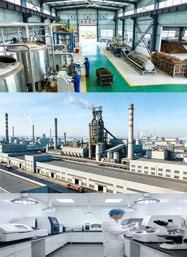 Nutra Biotech Modern GMP Certified Plant Extract Manufacturing Factory