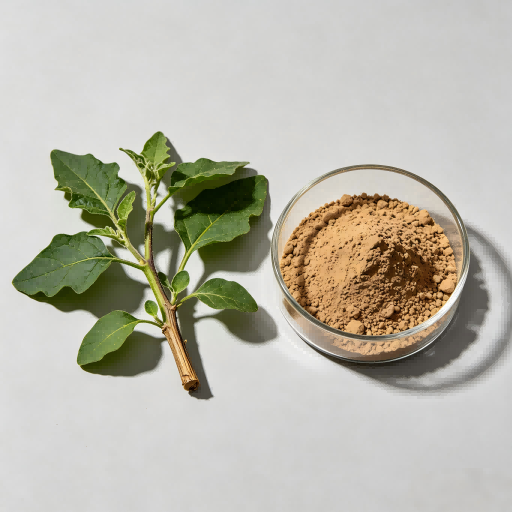 Ashwagandha Extract Powder, Standardized Withanolides, Natural Adaptogen