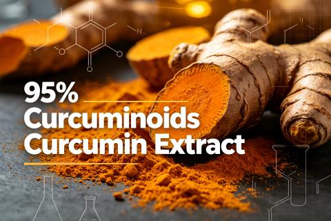 Industry Guide: 95% Curcuminoids Curcumin Extract | Industrial Raw Material