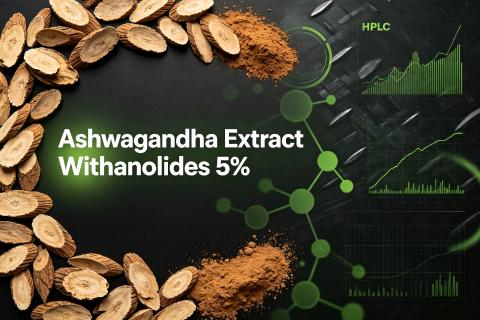 Ashwagandha Extract 5% Withanolides, withania somnifera root and extract powder background, standardized adaptogen herbal extract for dietary supplements
