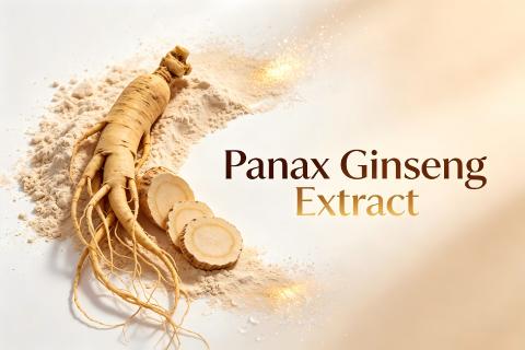 Panax Ginseng Extract fine powder with ginsenoside, natural Asian ginseng root herbal extract raw material for health supplement and cosmetic manufacturing