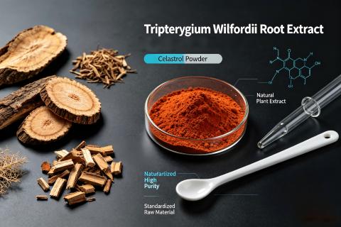 Tripterygium Wilfordii Root Extract Celastrol Powder Guide