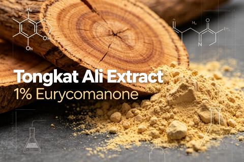 Industry Guide Tongkat Ali Extract 1% Eurycomanone, natural Eurycoma longifolia root background, standardized herbal extract raw material for nutraceutical supplements